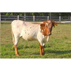 Riverforks Queen PC18