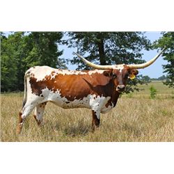 Charmin Princess PC348