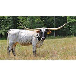 Awesome Crystal PC189