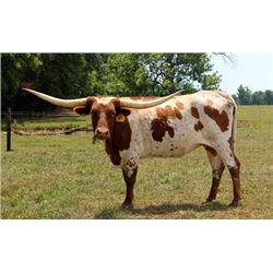 Texas Star lady PC365