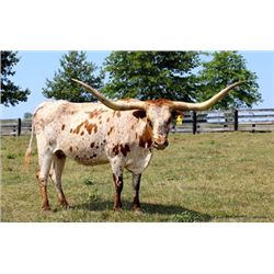 Hubbell's Rio Pacific Sun