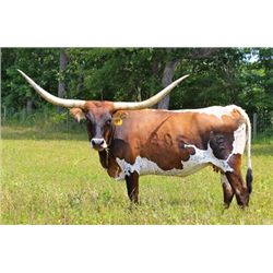 Awesome Treasure PC205