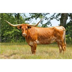 EOT Outback Crystal 804