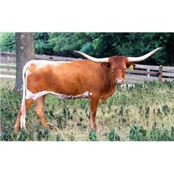 SR Madden's Firefly 203