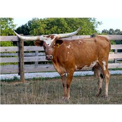 Sittin Strawberry PC418