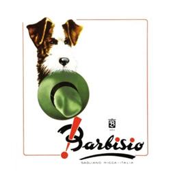 FASHION ADVERTISING POSTER - BARBISIO…