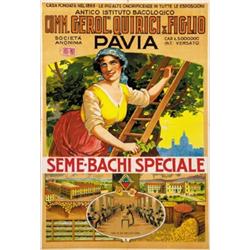 ADVERTISING POSTER - ISTITUTO BACOLOGICO QUIRICI & FIGLIO…