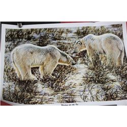 POLAR BEAR NUMBERED PRINT