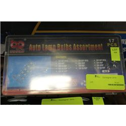 17 PC AUTO LAMP BULB SET