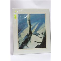 RENAZ LTD ED SIGNED PRINT ON CHOICE: PINKS LAKE