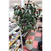 Image 1 : ARTIFICIAL PLANT