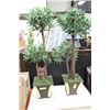 Image 1 : 2 SHOWHOME ARTIFICIAL PLANTS