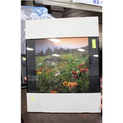FRAMED FLORAL PICTURE