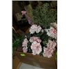 Image 1 : BOX W ARTIFICIAL PLANTS AND FLOWER ARRANGEMENTS