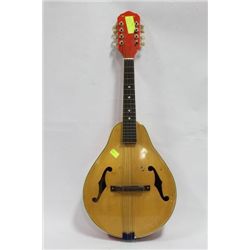 MANDOLIN