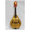Image 1 : MANDOLIN
