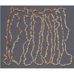 ANASAZI SHELL BEADS