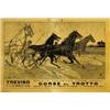 Image 1 : ADVERTISING HORSE POSTER - TREVISO CORSE AL TROTTO…
