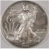 Image 1 : 2009 SILVER AMERICAN EAGLE