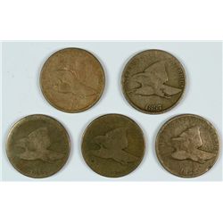 (5) 1857 FLYING EAGLE CENTS