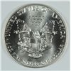 Image 2 : 1989 SILVER AMERICAN EAGLE