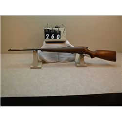 Savage Sporter  .22 cal SN-73061