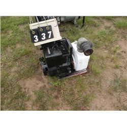Water pump-Briggs & Stratton motor