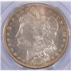 Image 2 : 1904-O MORGAN SILVER DOLLAR PCGS MS64+