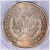 Image 3 : 1904-O MORGAN SILVER DOLLAR PCGS MS64+