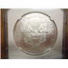 Image 2 : 2010 AMERICAN SILVER EAGLE NGC MS69