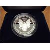 Image 2 : 2006-W PROOF AMERICAN SILVER EAGLE