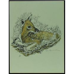 Don Russell Signed 9x12 Deer Lithograph (PA LOA)
