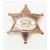 Image 3 : Lot of 2 badges including a Palm Springs Police  Aero Squadron early badge with California bear, no