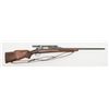 Image 1 : Winchester pre-64 Model 70 bolt action rifle, .22  Hornet cal., (chamber opened for wild cat), #8913