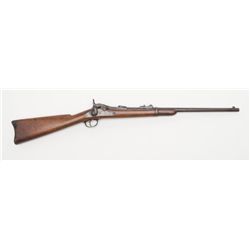 Springfield Model 1878 trapdoor carbine in .45-70  caliber showing filed off or removed serial numbe