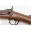 Image 3 : Springfield Model 1878 trapdoor carbine in .45-70  caliber showing filed off or removed serial numbe