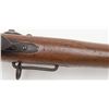 Image 7 : Springfield Model 1878 trapdoor carbine in .45-70  caliber showing filed off or removed serial numbe