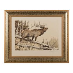 Framed hand signed etching on rag paper of elk by  wildlife artist, Mike Stidham, approx. 14” x 17”.