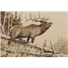 Image 2 : Framed hand signed etching on rag paper of elk by  wildlife artist, Mike Stidham, approx. 14” x 17”.