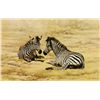 Image 1 : Lot of 11 color prints of big game and wildlife  animals including works by artists Bob Kuhn, O.C.