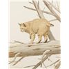 Image 2 : Lot of 11 color prints of big game and wildlife  animals including works by artists Bob Kuhn, O.C.