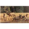 Image 8 : Lot of 11 color prints of big game and wildlife  animals including works by artists Bob Kuhn, O.C.
