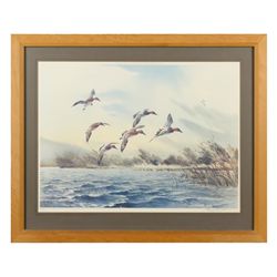 Lot of 2 like-framed limited edition water fowl  prints by Killen, one approx. 18” x 22” overall;  t