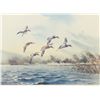 Image 2 : Lot of 2 like-framed limited edition water fowl  prints by Killen, one approx. 18” x 22” overall;  t