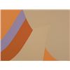 Image 2 : Doug Danz Signed Abstract Print Proof Phoenix VI