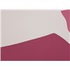 Image 2 : Doug Danz Signed Lozano A Abstrct Landscape Print Proof
