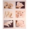 Image 1 : Set of 6 Flower Toned Photo Prints- Rose Tulip Orchid