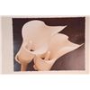 Image 3 : Set of 6 Flower Toned Photo Prints- Rose Tulip Orchid