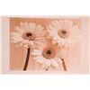 Image 5 : Set of 6 Flower Toned Photo Prints- Rose Tulip Orchid