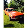 Image 2 : 1967 FORD MUSTANG COUPE